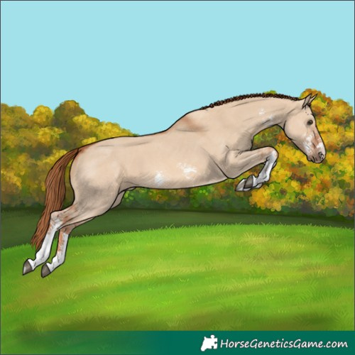 Horse Color:Red Dun Sabino 