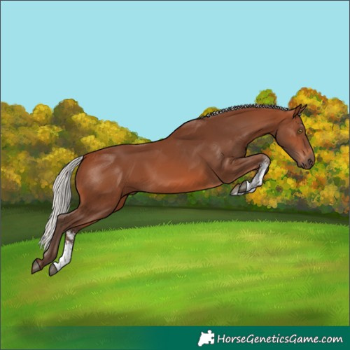Horse Color:Silver Brown Sabino