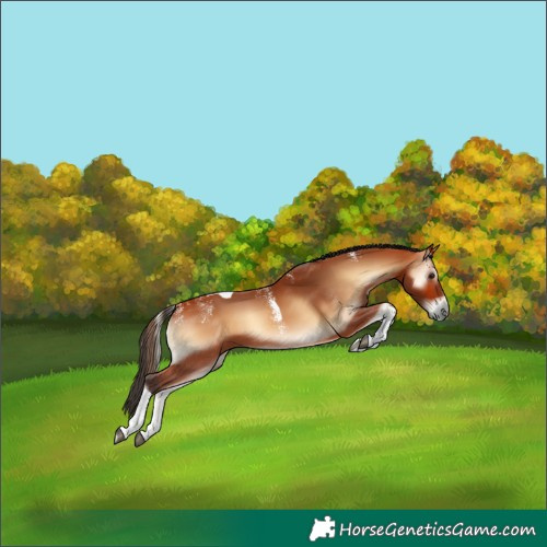 Horse Color:Powder White Bay Onyx Tobiano