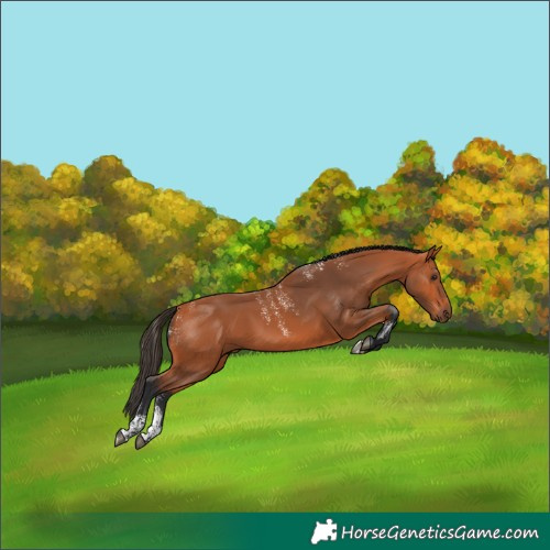 Horse Color:Powder White Bay