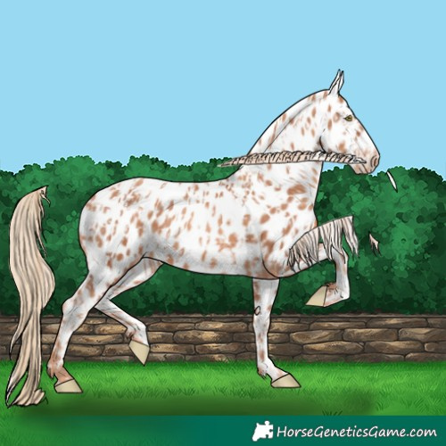 Horse Color:Gold Champagne Near Leopard and Gold Champagne Near Leopard