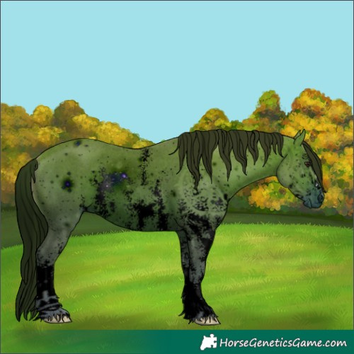 Horse Color:ERROR: UNKNOWN ANOMALY