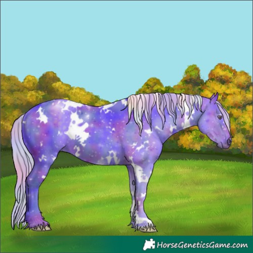 Horse Color:Nacre Watercolor White Spotted Silver Black Chinchilla