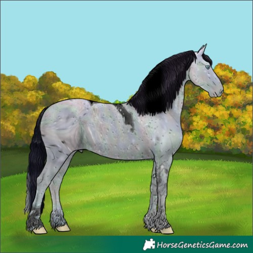 Horse Color:ERROR: UNKNOWN ANOMALY