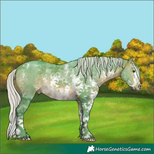 Horse Color:Watercolor Silver Brown Sabino 