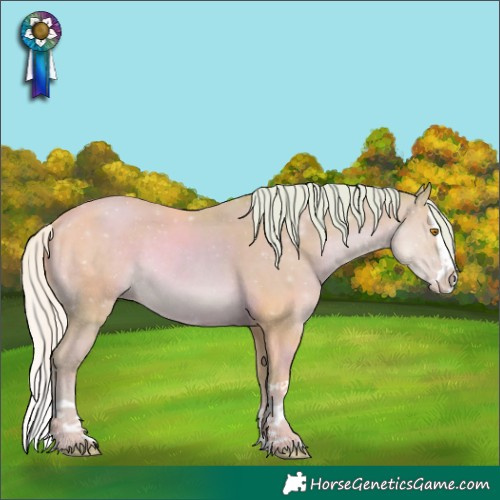 Horse Color:Watercolor Silver Classic Champagne Splash Rabicano