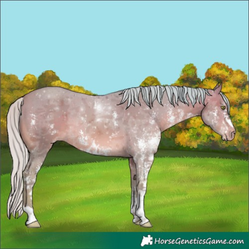 Horse Color:Watercolor Silver Sable Champagne Sabino