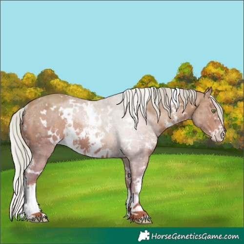 Horse Color:Watercolor White Spotted Silver Sable Champagne Sabino Rabicano 