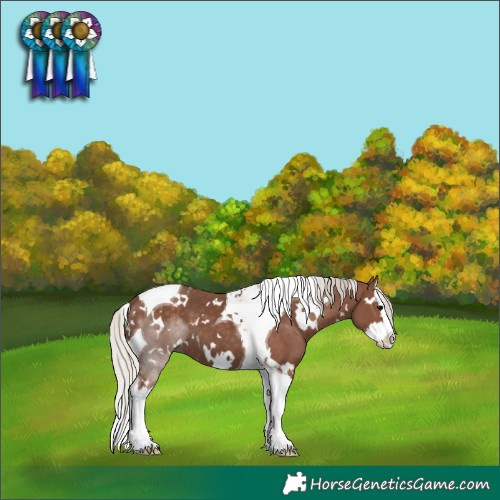 Horse Color:White Spotted Silver Black Splash Tobiano 