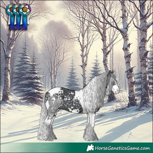 Horse Color:White Spotted Silver Black Chinchilla Splash Tobiano