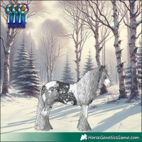 Horse Color:White Spotted Silver Black Chinchilla Splash Tobiano