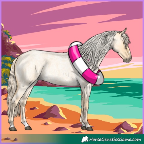 Horse Color:Palomino Roan Dun