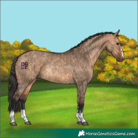 Horse Color:Bay Dun  and Bay Dun 