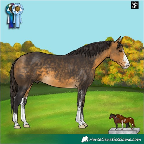 Horse Color:Buckskin Sabino
