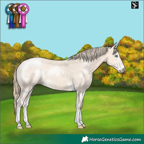 Horse Color:Perlino Sabino
