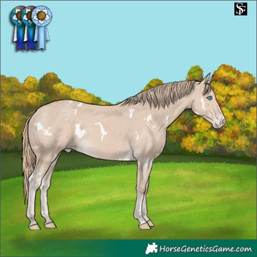 Horse Color:White Spotted Smoky Creme Varnish