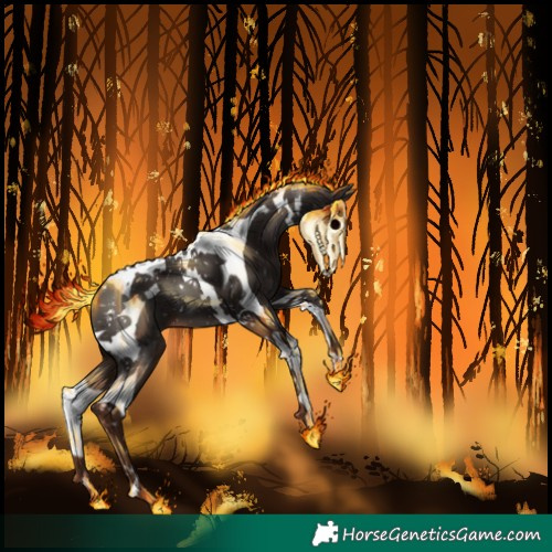 Horse Color:Liver Chestnut Tobiano