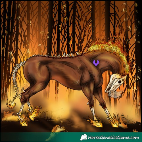 Horse Color:Chestnut Tobiano