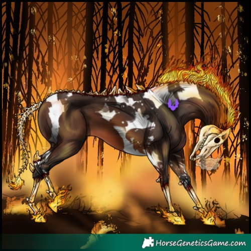 Horse Color:Brown Tobiano 
