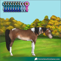 Horse Color:Gray Sable Champagne Tobiano 