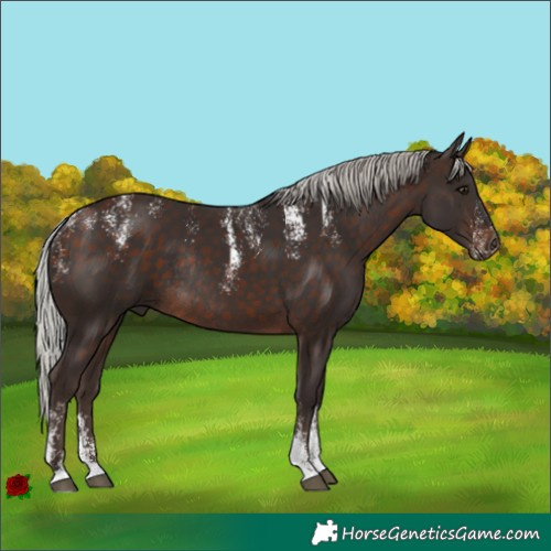 Horse Color:Powder White Silver Brown Rabicano