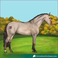 Horse Color:Bay Dun  and Amber Champagne Dun 