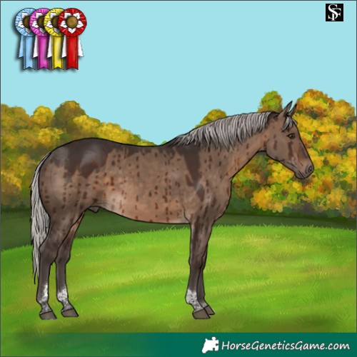 Horse Color:Silver Brown Dun Tobiano Brindle