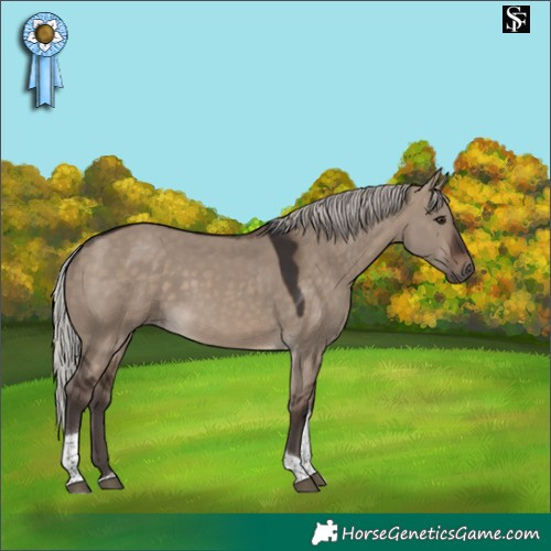 Horse Color:Silver Brown Dun Tobiano