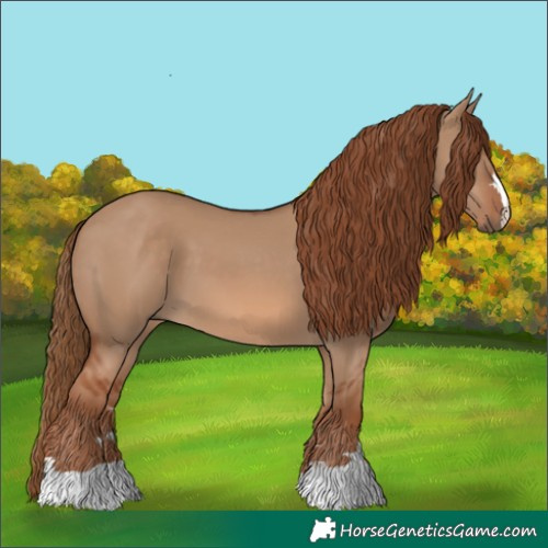 Horse Color:Red Dun