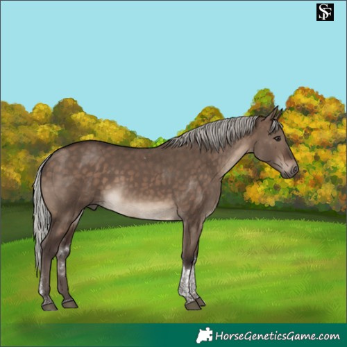 Horse Color:Silver Brown Dun Tobiano
