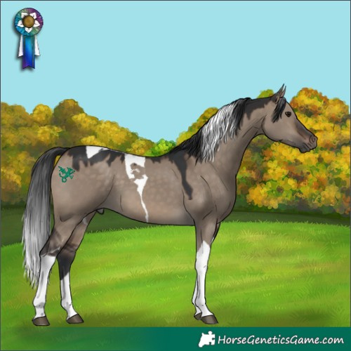 Horse Color:Brown Dun Tobiano