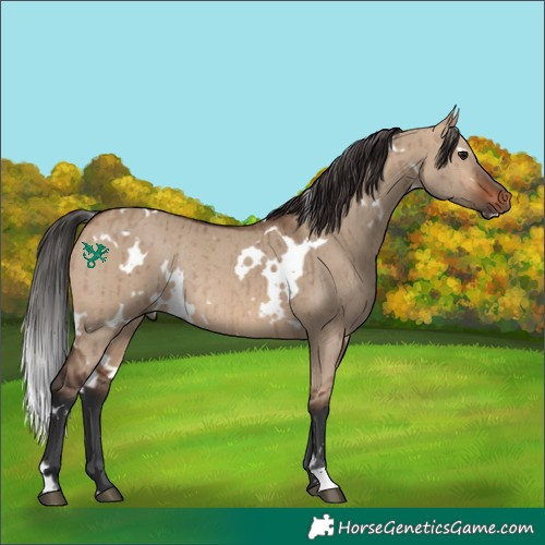 Horse Color:White Spotted Brown Dun Rabicano Brindle 