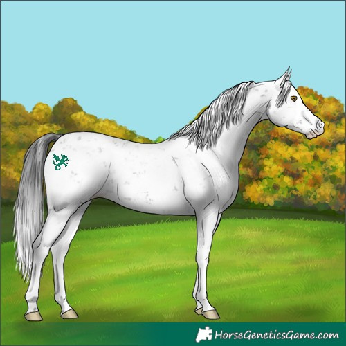 Horse Color:Brown Sabino
