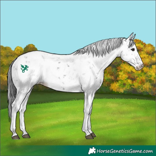 Horse Color:Black Mushroom Sabino