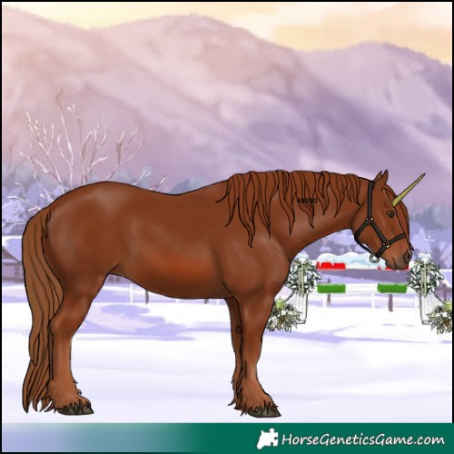 Horse Color:Chestnut 