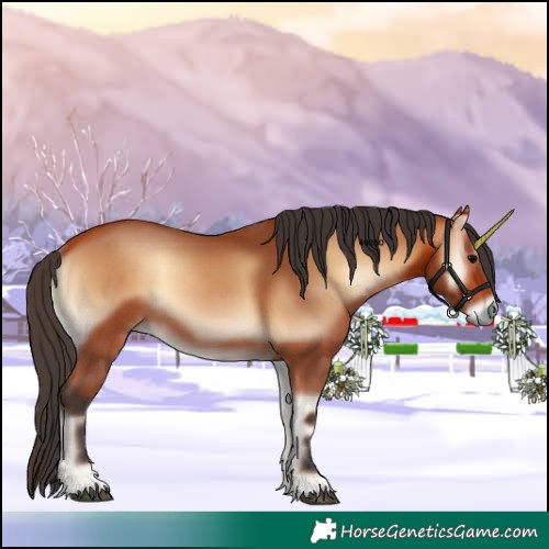 Horse Color:Bay Onyx 