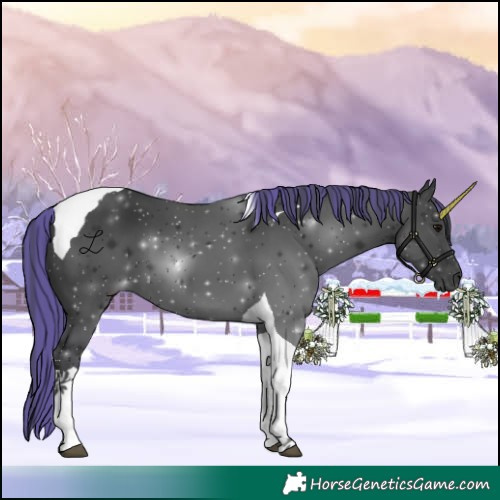 Horse Color:Painted Black Tobiano 