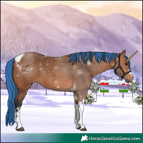 Horse Color:Painted Bay Tobiano