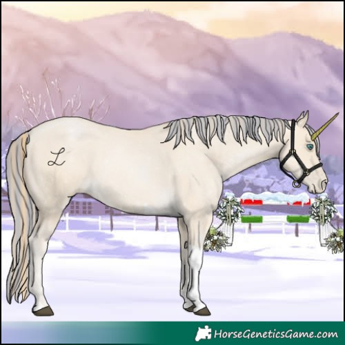 Horse Color:Painted Smoky Black Pearl Tobiano