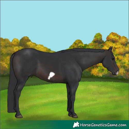 Horse Color:Brown Frame