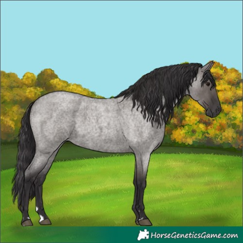 Horse Color:Smoky Grullo Roan