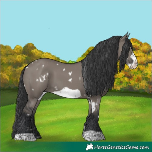 Horse Color:White Spotted Grullo Frame 