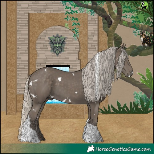 Horse Color:White Spotted Silver Smoky Black Tobiano Rabicano 
