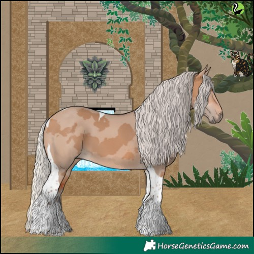 Horse Color:Silver Bay Dun Merle Tobiano 