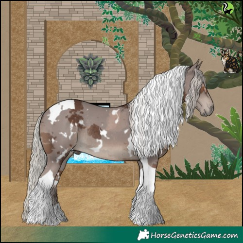 Horse Color:White Spotted Silver Black Merle Tobiano Rabicano 