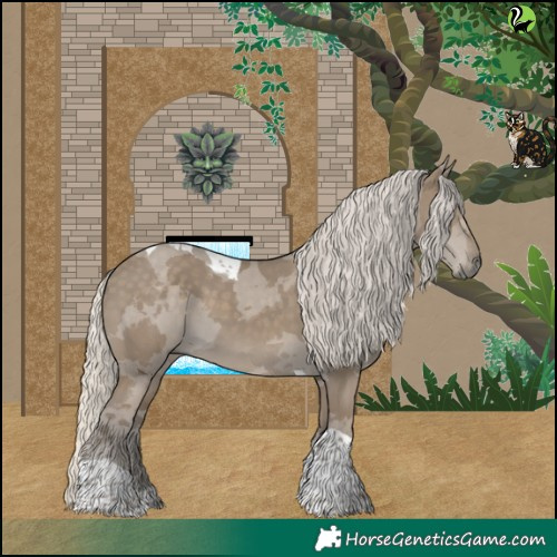 Horse Color:Silver Smoky Grullo Merle Tobiano