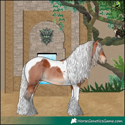 Horse Color:Silver Bay Merle Tobiano Rabicano 