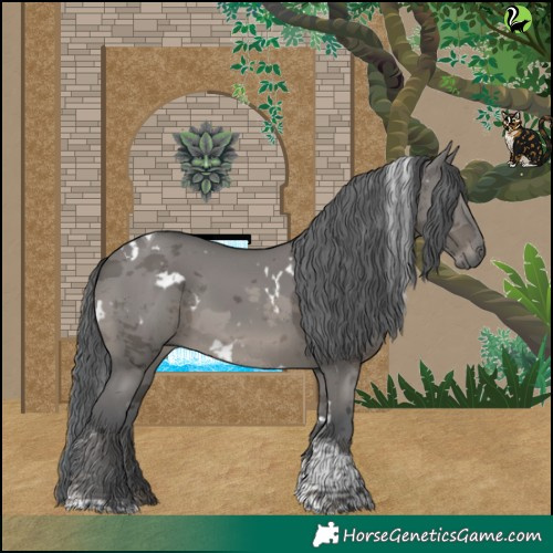 Horse Color:White Spotted Grullo Merle Tobiano