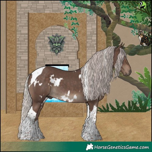 Horse Color:White Spotted Silver Black Tobiano Rabicano 