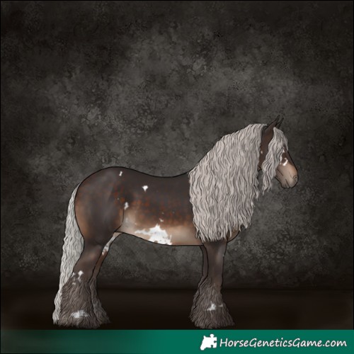 Horse Color:White Spotted Silver Brown 